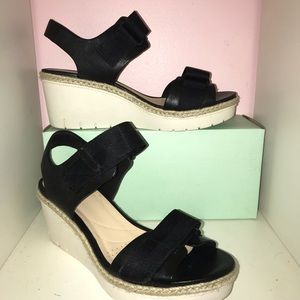 Clark’s: Palm Shine